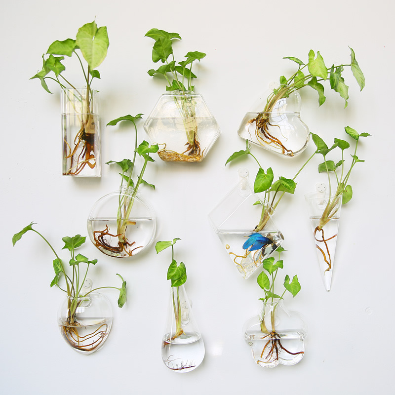 Self-Watering Planter - Wall Hanging Glass Terrarium - Self-Watering