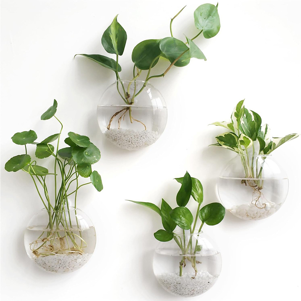 2/4/6 Pack Wall Hanging Glass  - Self-Watering Planter ulasan dan harga