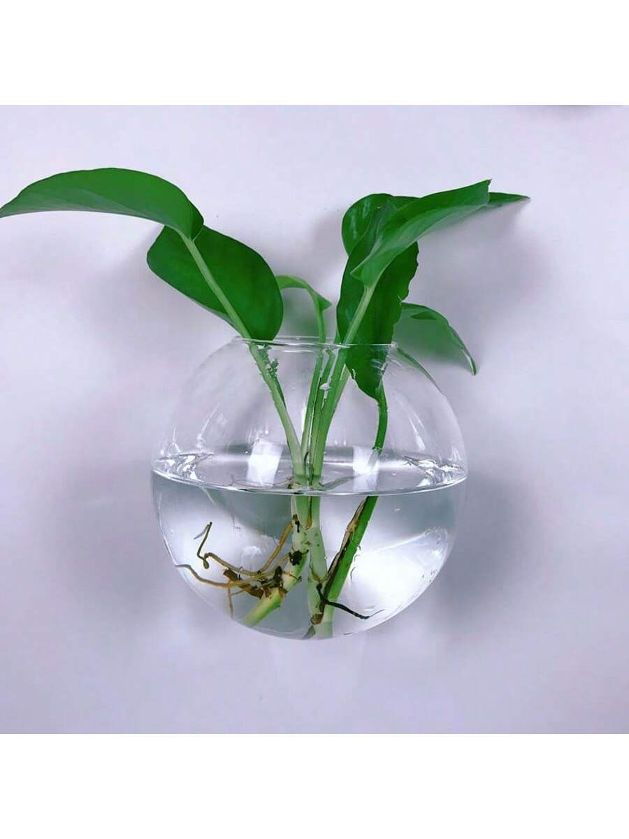 2/4/6 Pack Wall Hanging Glass  - Self-Watering Planter ulasan dan harga