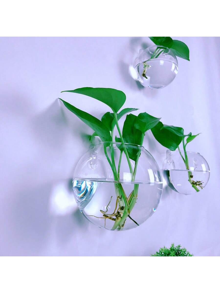 2/4/6 Pack Wall Hanging Glass  - Self-Watering Planter ulasan dan harga