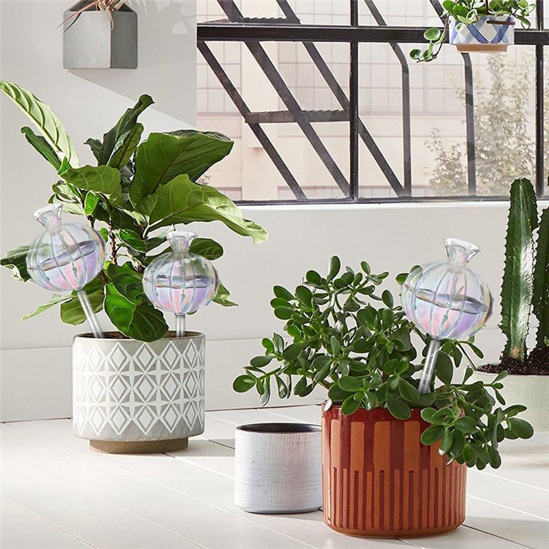 AA94-Plant Watering Bulbs Plan - Self-Watering Planter ulasan dan harga